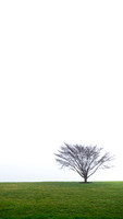 P1130700